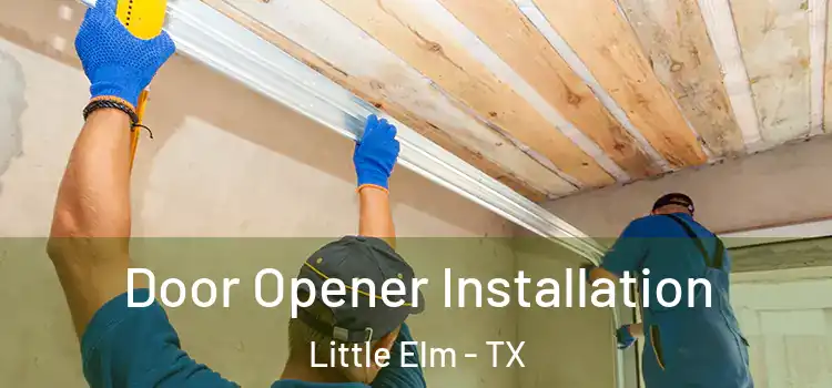  Door Opener Installation Little Elm - TX