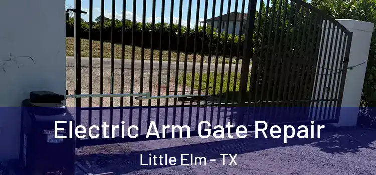  Electric Arm Gate Repair Little Elm - TX