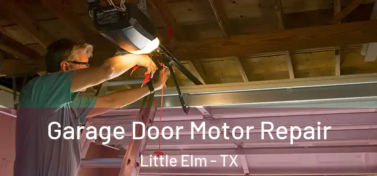  Garage Door Motor Repair Little Elm - TX