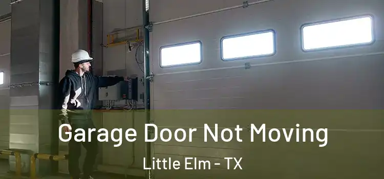  Garage Door Not Moving Little Elm - TX