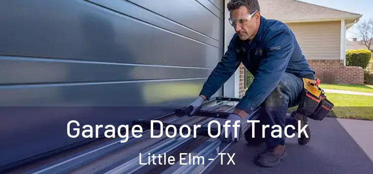  Garage Door Off Track Little Elm - TX