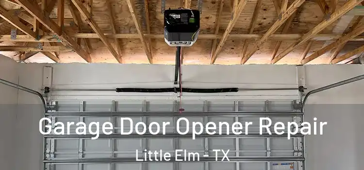  Garage Door Opener Repair Little Elm - TX