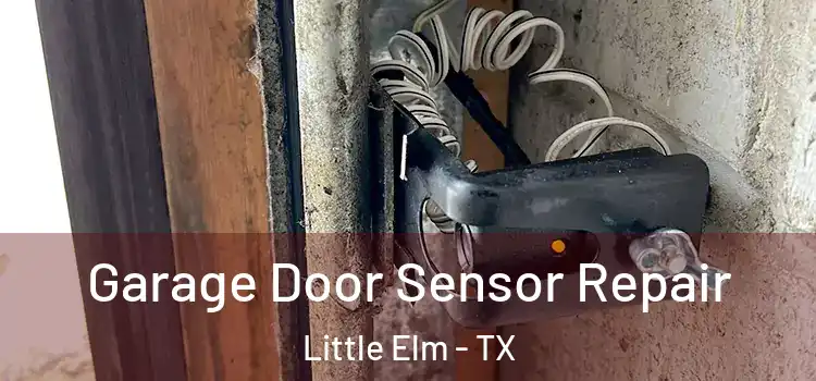 Garage Door Sensor Repair Little Elm - TX
