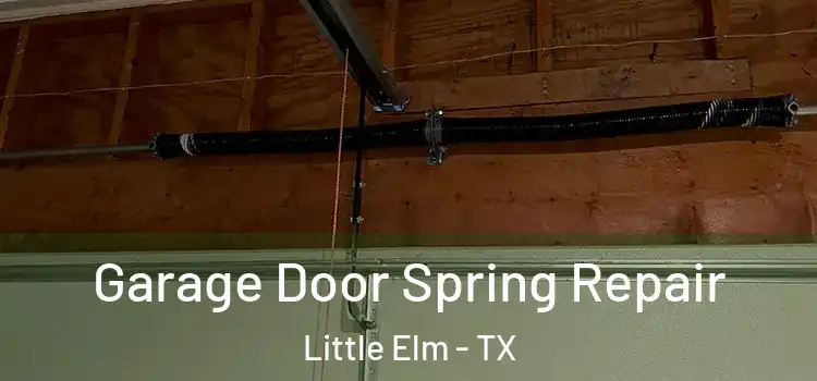  Garage Door Spring Repair Little Elm - TX