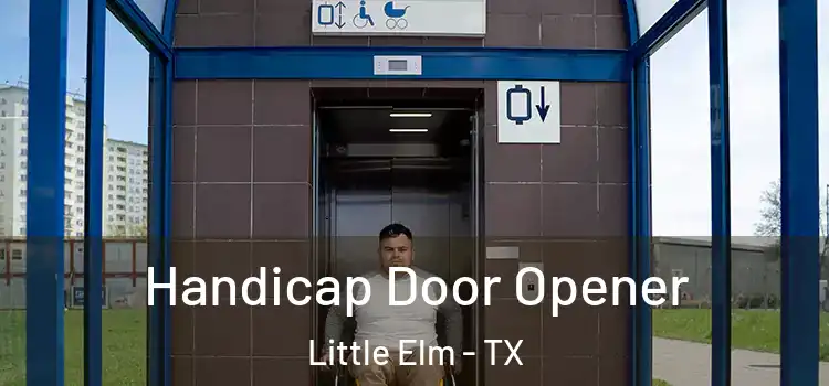 Handicap Door Opener Little Elm - TX