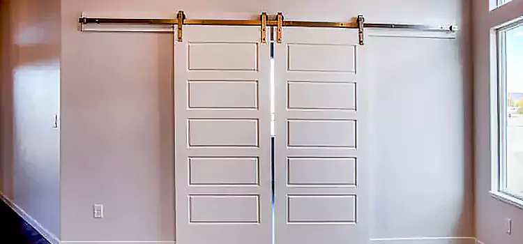 Glass Barn Door with Installation Hardware Kit Little Elm