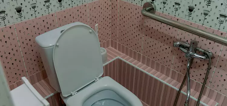 Meeting Diverse Needs With Accessible Restroom Solutions in Little Elm, TX