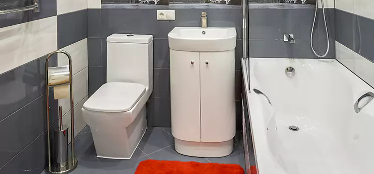 Hansgrohe Shaving Mirror Little Elm