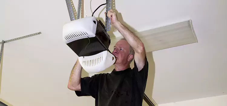 Garage Door Opener Service Little Elm