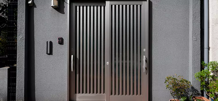 Specialized Steel Door Services in Little Elm, TX