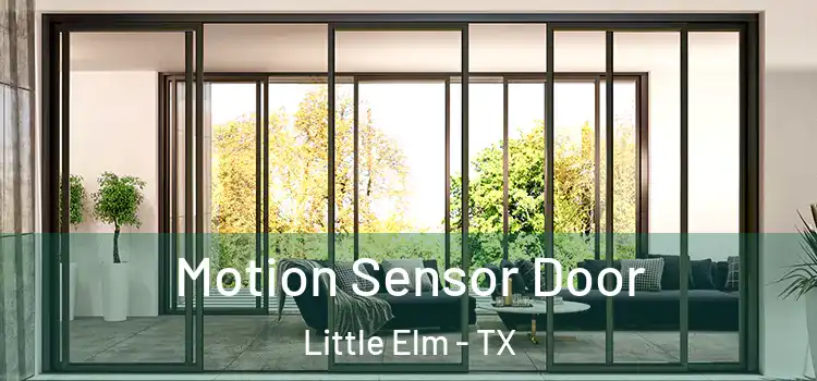 Motion Sensor Door Little Elm - TX