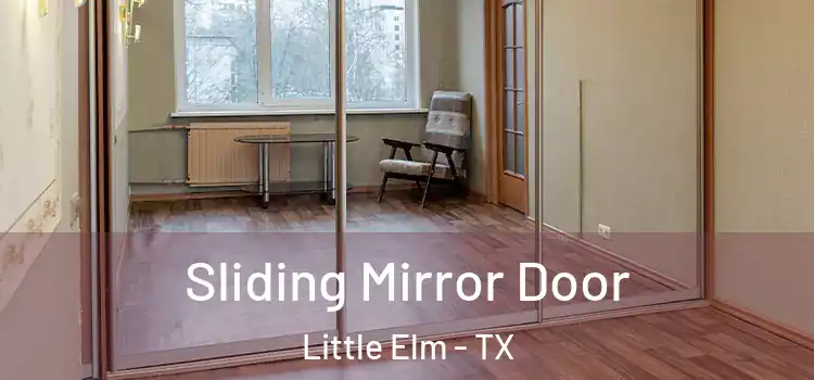  Sliding Mirror Door Little Elm - TX