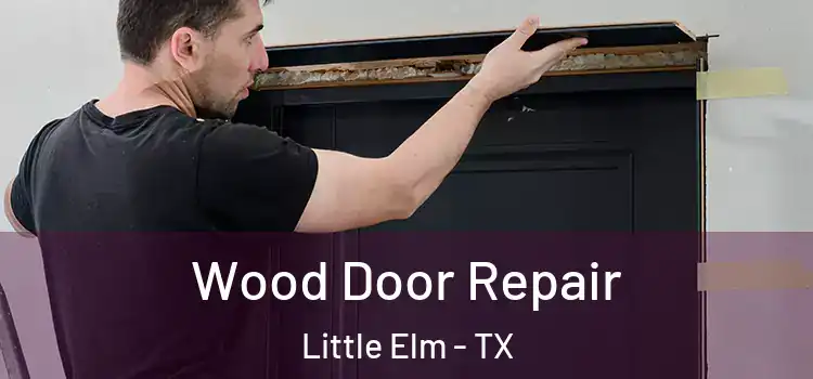  Wood Door Repair Little Elm - TX